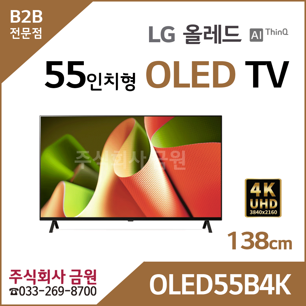 LG 올레드 TV 55인치형 OLED55B4K