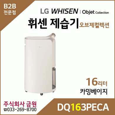 LG 휘센 제습기 DQ163PECA