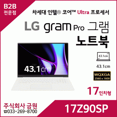 LG 그램 Pro 노트북 17Z90SP