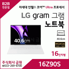 LG 그램 노트북 16Z90S