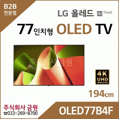 LG 65인치 올레드 OLED TV OLED65B4F