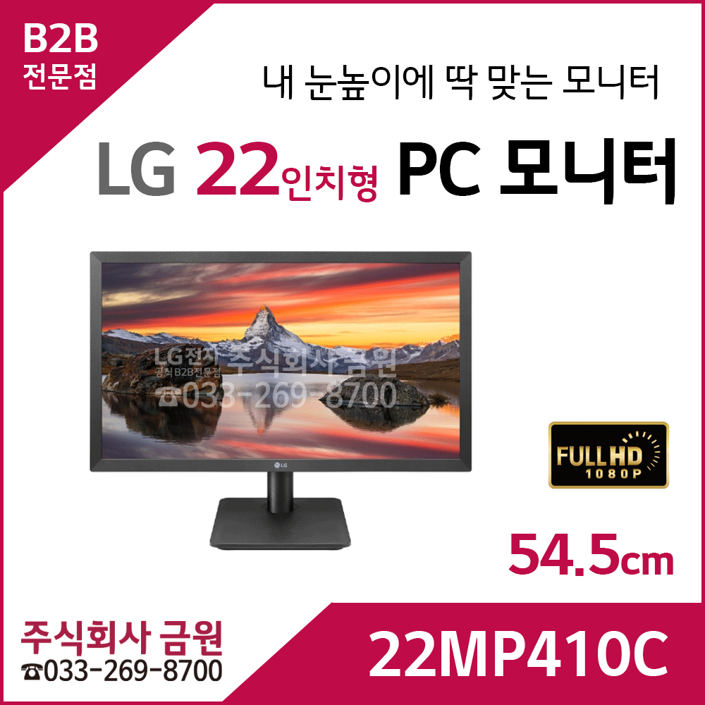 LG PC 모니터 22MP410C