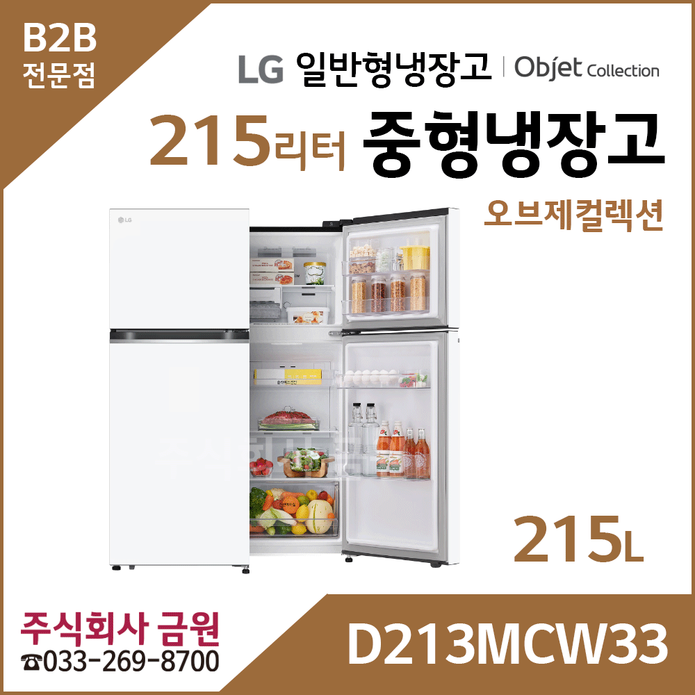 LG 2도어 일반냉장고 D213MCW33